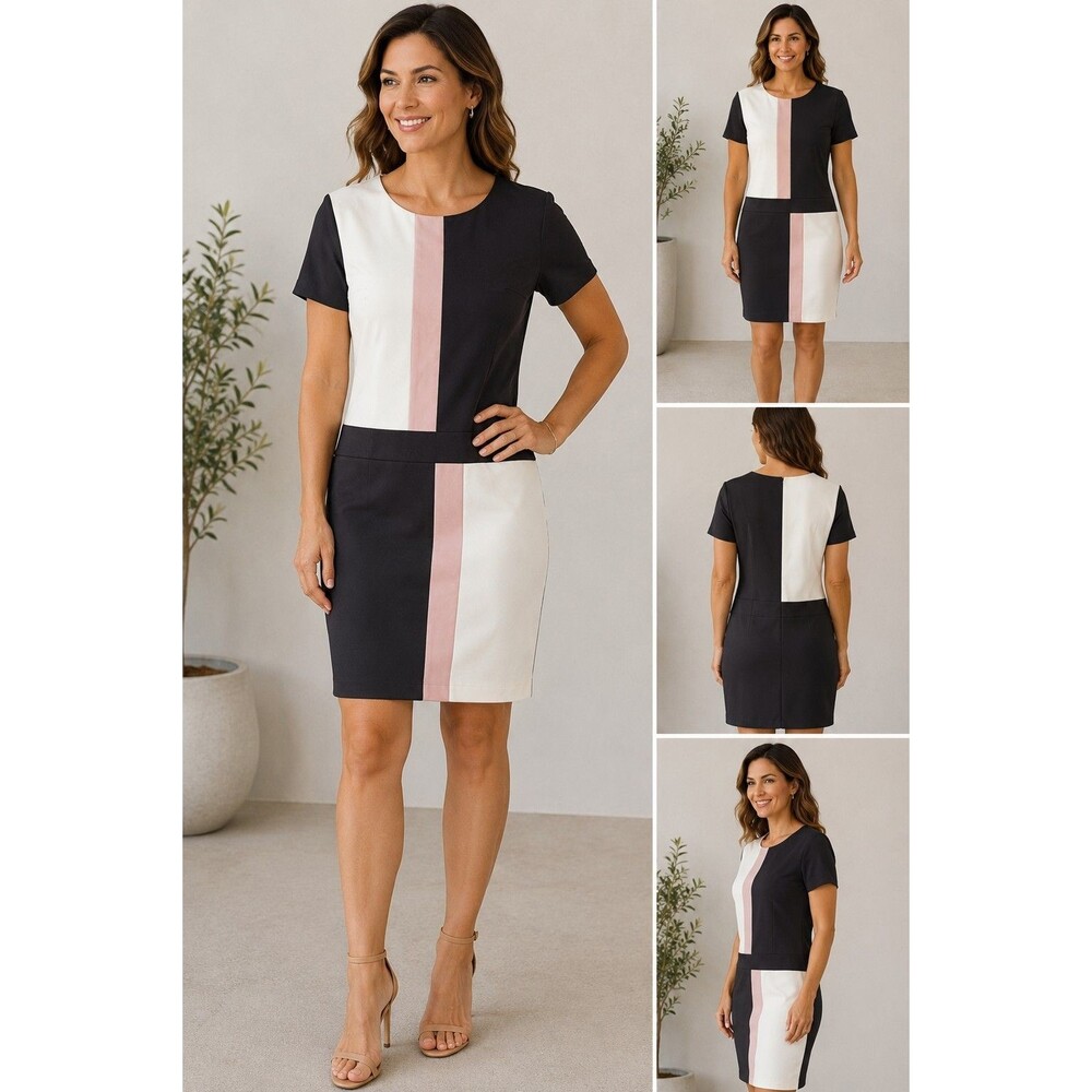 DressBarn Sleeveless Colorblock Sheath Dress size 12